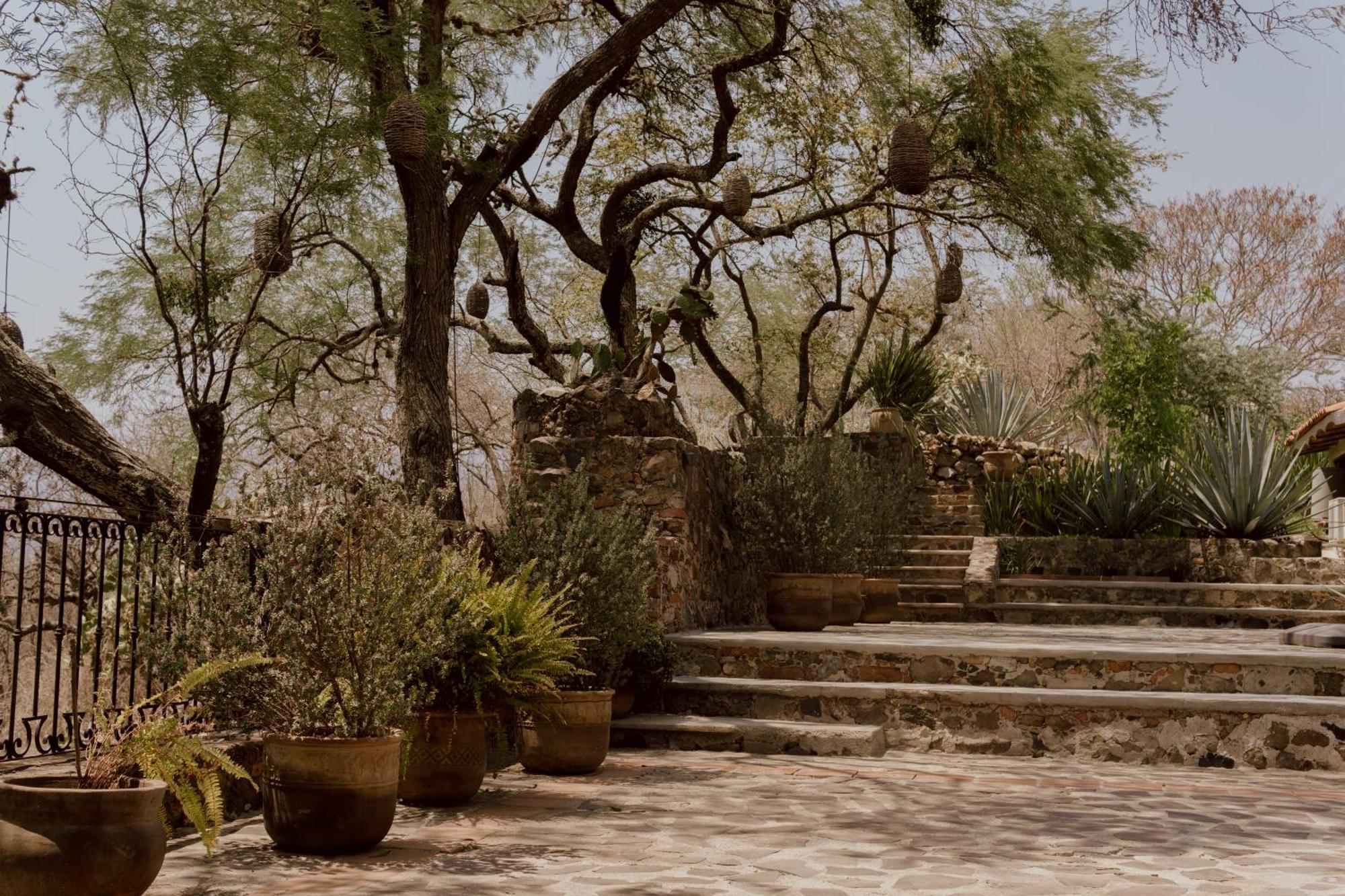 Hacienda San Nicolas De Las Fuentes Teuchitlán Exterior foto