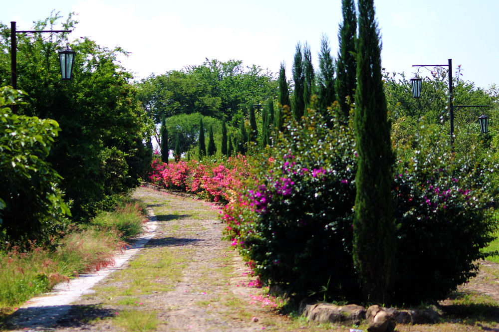 Hacienda San Nicolas De Las Fuentes Teuchitlán Exterior foto